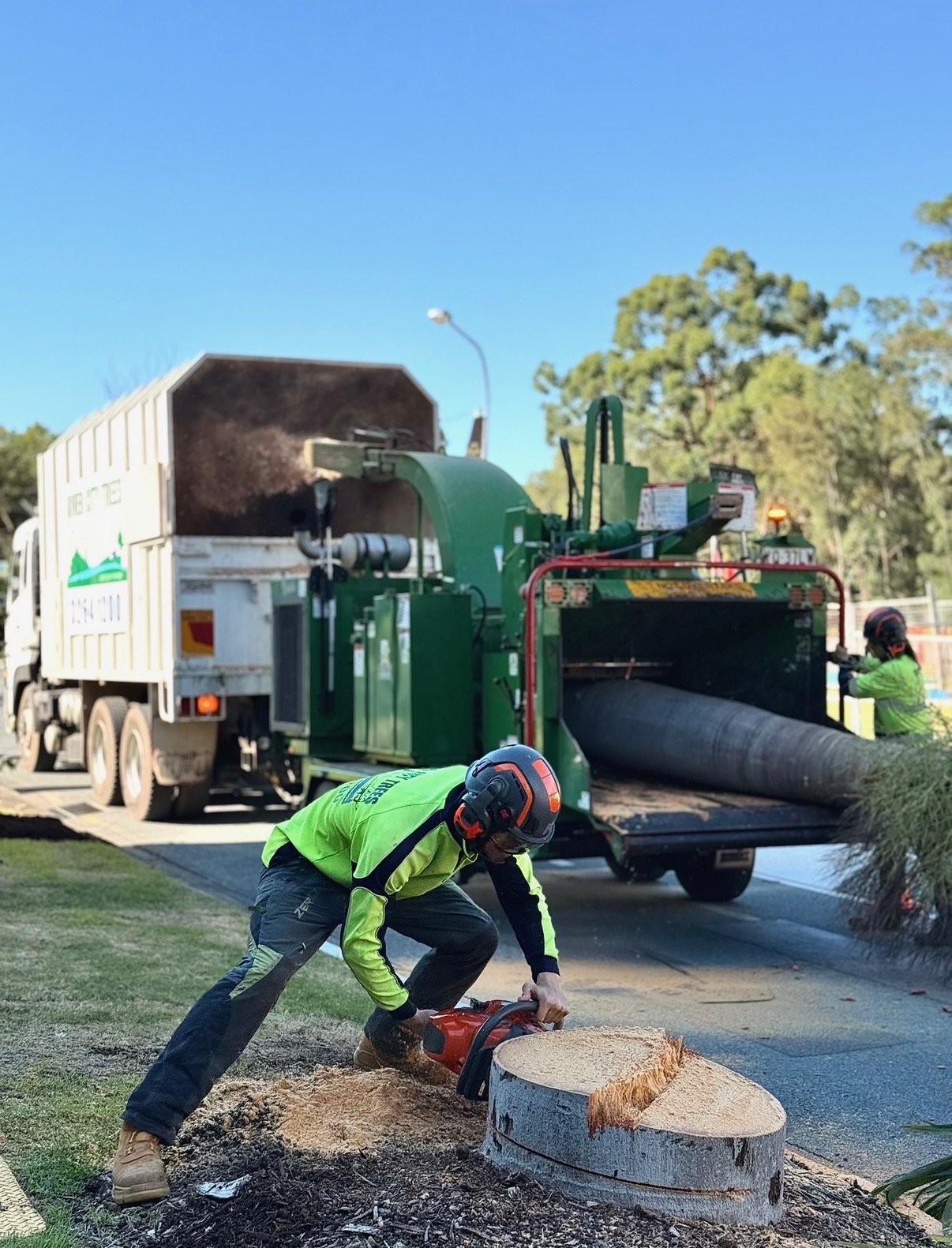 River City Trees crew feeding timber into a woodchipper beside their truck